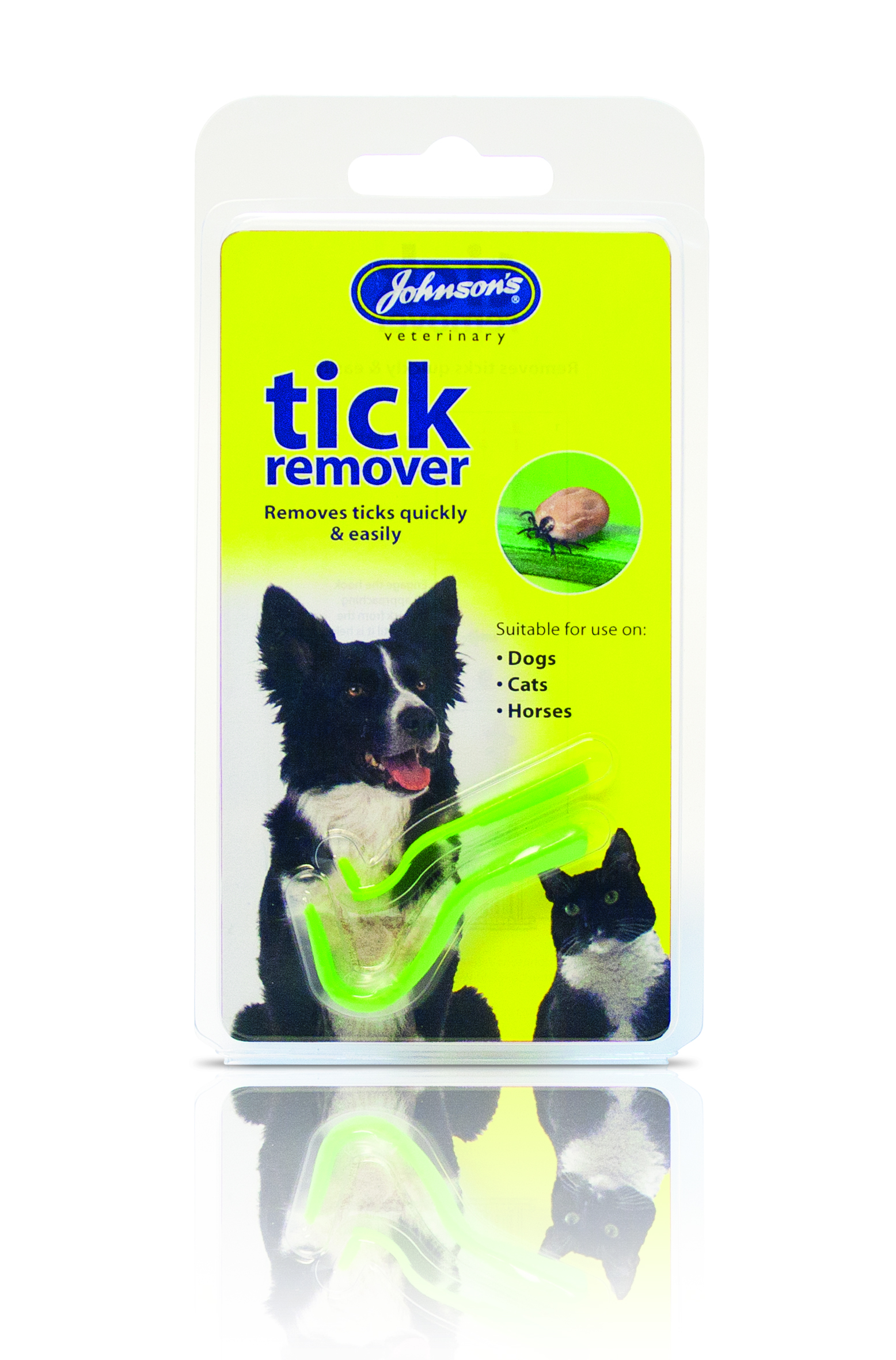 Dog Tick Control
